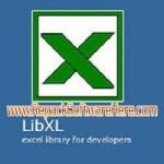 LibXL 3.9.3 Windows PC Software