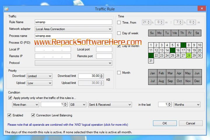 Net Balancer 11.0.1.3304 PC Software