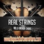 Real Strings Vol.6 Broken Chords PC Software