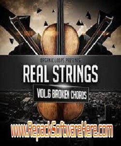 Real Strings Vol.6 Broken Chords PC Software