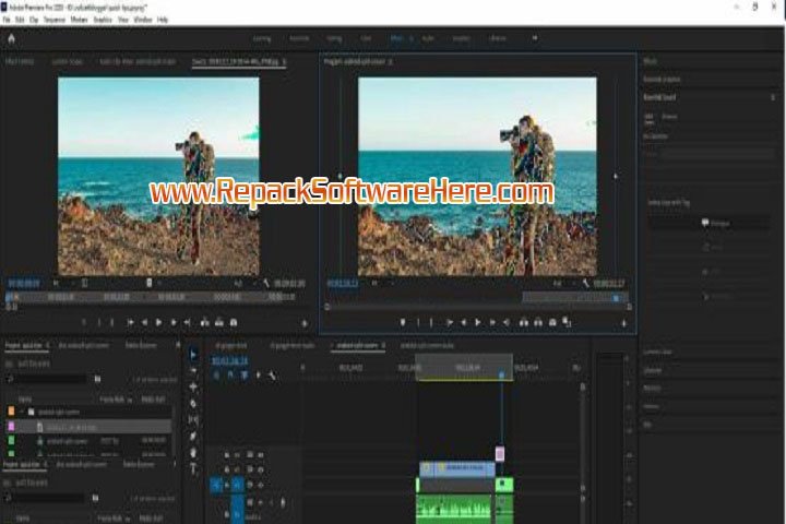 Adobe Premiere Pro 2022 v22.0.0.169 PC Software