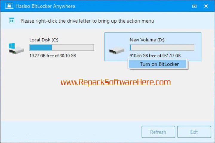 Hasleo BitLocker Data Recovery v5.9 PC Software