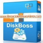 DiskBoss 2.4.16 PC Software