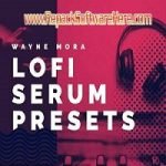 GOGOi Lo Fi Soul for Serum DECiBEL v1.0 PC Software