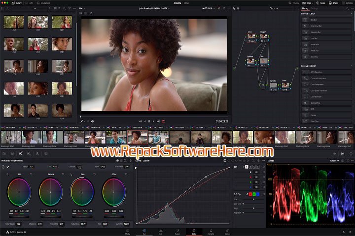 Blackmagic Design DaVinci Resolve Studio 15.3.0.8 PC Software