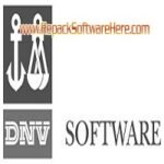 DNV Leak 3.3 PC Software