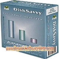 Disk Savvy 12.5.18x64 PC Software