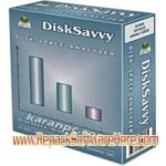 Disk Savvy All 14.4.28 PC Software