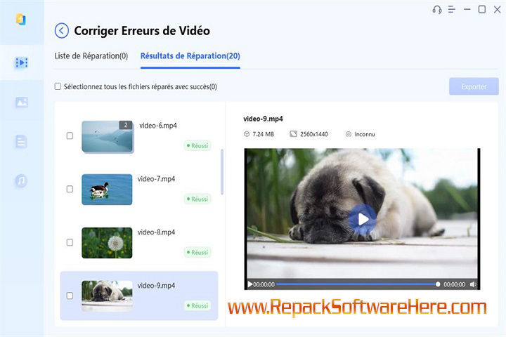 4DDiG File Repair interface screenshot