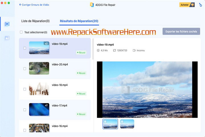 4DDiG File Repair features