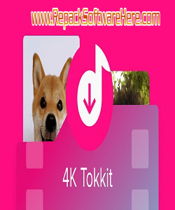 4K Tokkit 25.2.0 (x64) PC Software