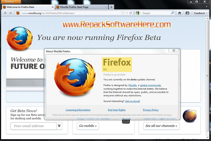 Mozilla Firefox Installation Process