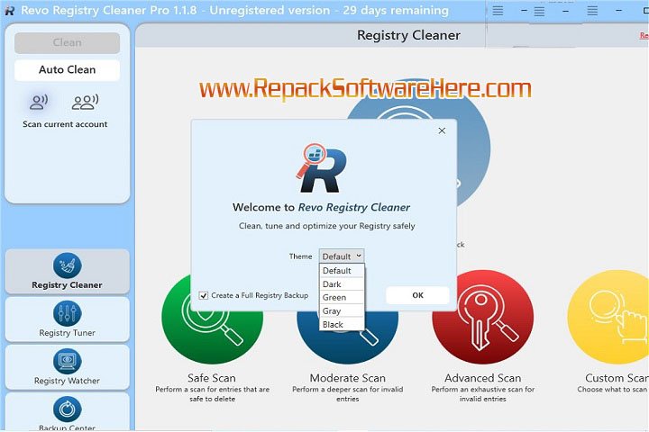 Revo Registry Cleaner Scan Results