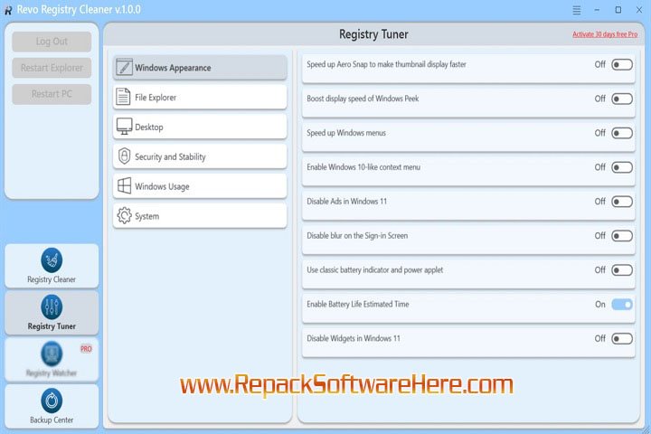 Revo Registry Cleaner Main Interface