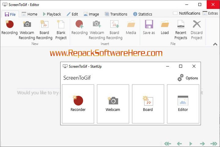 ScreenToGif Recording Options