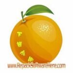 Autokroma Bundle 2025.5 (x64) PC Software
