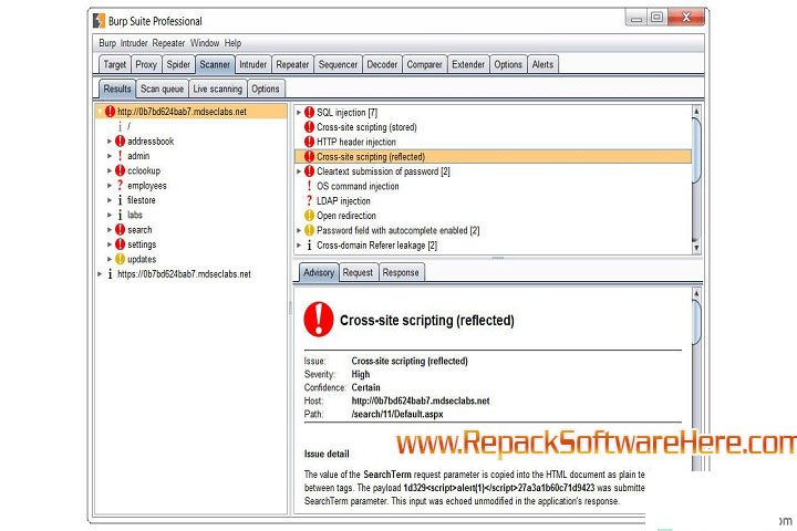 Burp Suite Professional Interface