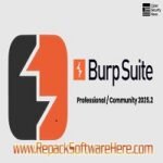 Burp Suite Professional 2025.4.5 PC Software
