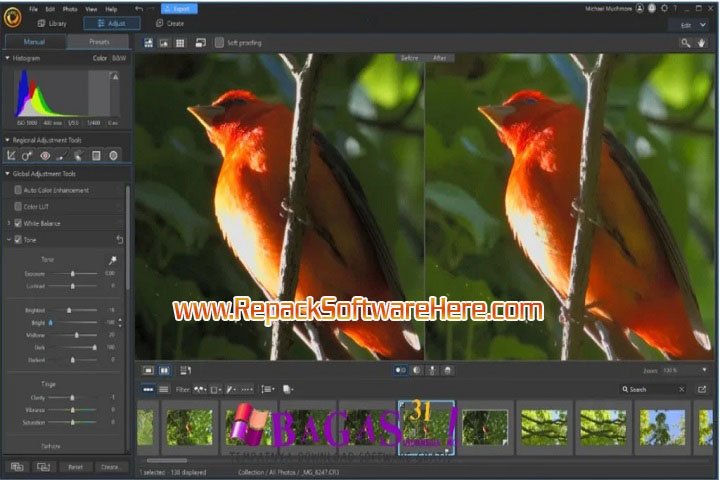 CyberLink Photo Director color tools