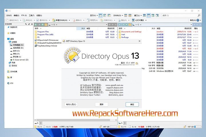 Directory Opus interface