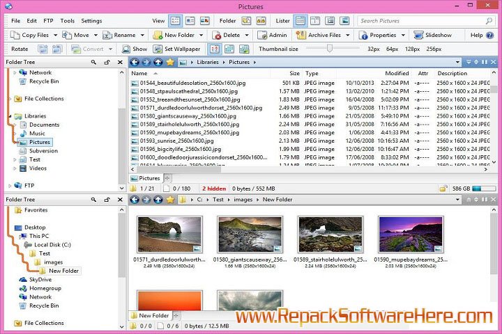 Directory Opus features